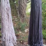 Tintes naturales. Palo campeche y nogal. Secado